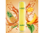 Preview: HQD SURV - Tropical Fruits (Tropische Früchte) - Einweg E-Shisha ca. 600 Züge